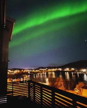 Aurora Borealis Studio Apartment Tromsø